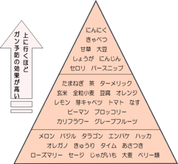 ガン予防のデザイナーフーズピラミッド.gif